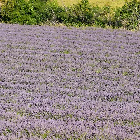 La Bastide De 3*